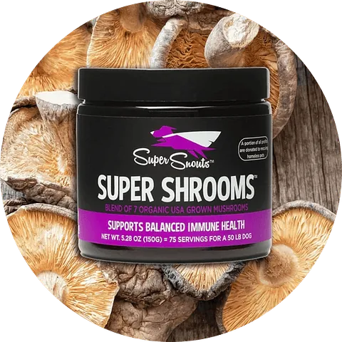 Suplementos