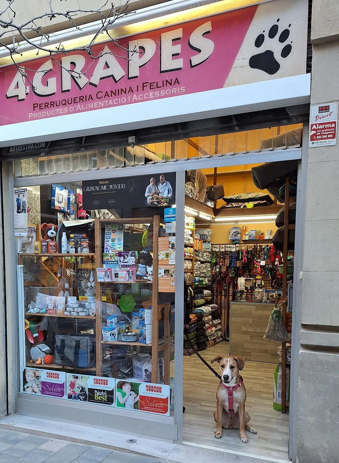 Fachada del comercio